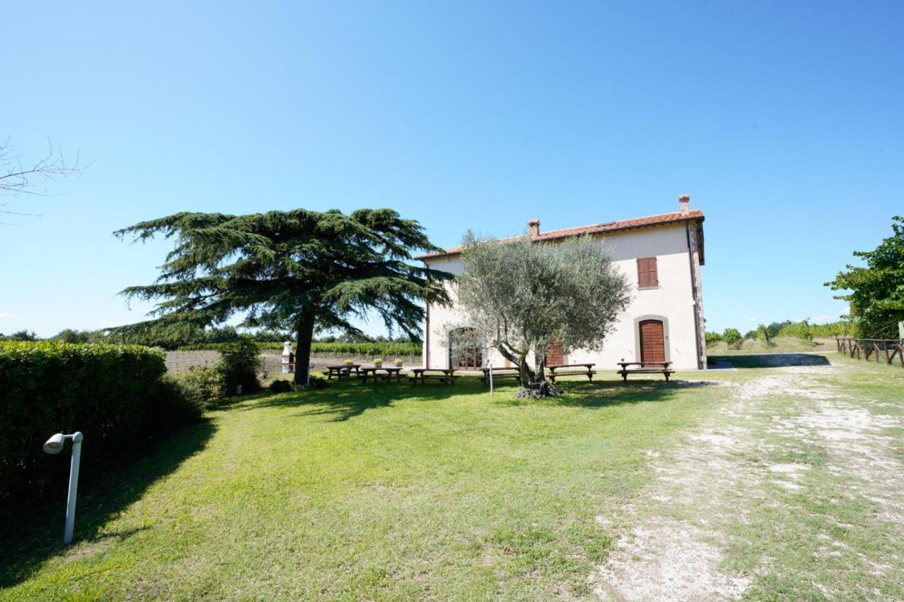 Agriturismo Vigna Sul Lago Montefiascone Exteriör bild