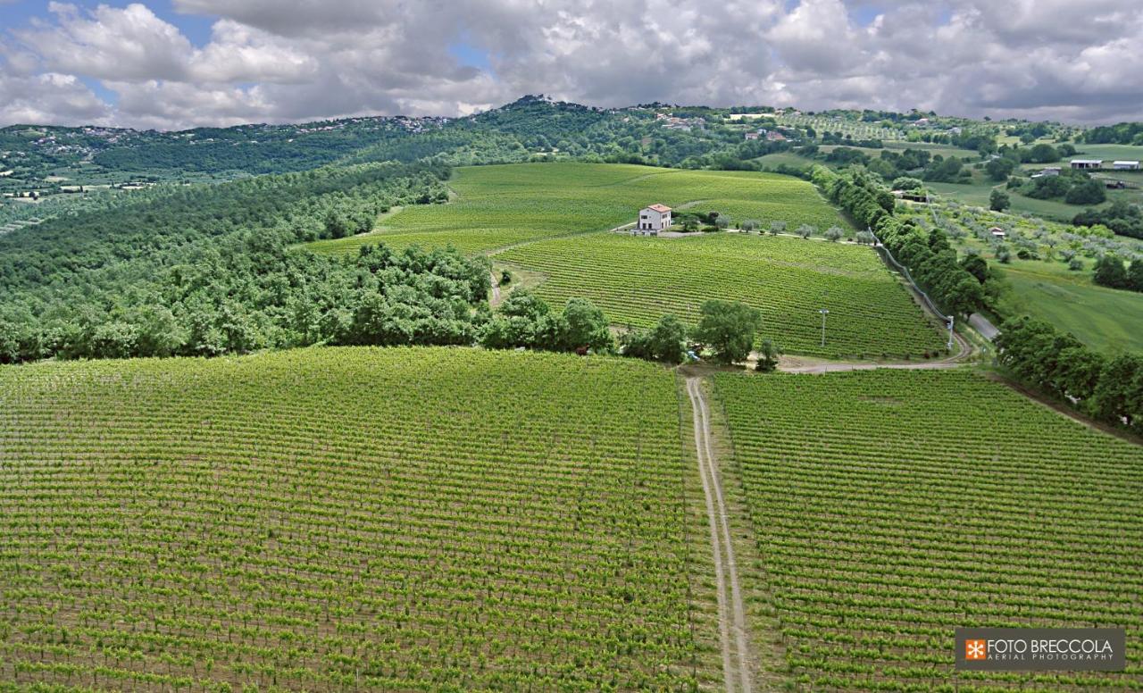 Agriturismo Vigna Sul Lago Montefiascone Exteriör bild