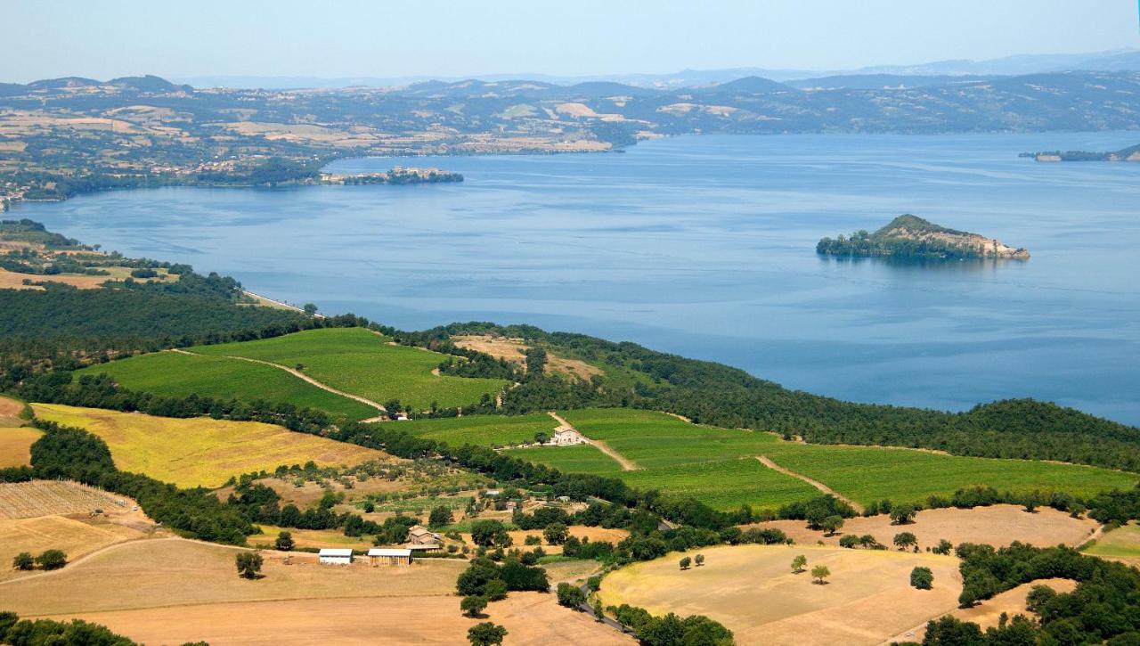Agriturismo Vigna Sul Lago Montefiascone Exteriör bild